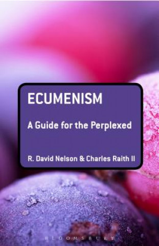 Kniha Ecumenism R. David Nelson