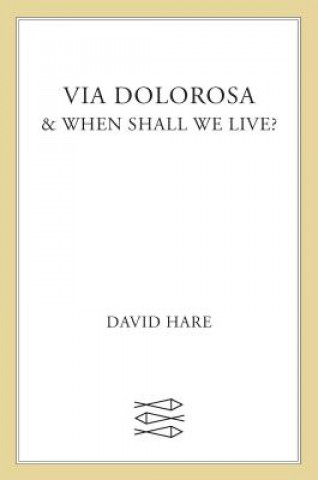 Kniha Via Dolorosa David Hare