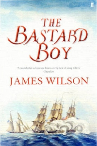 Kniha Bastard Boy James Wilson