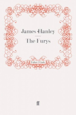 Kniha Furys James Hanley