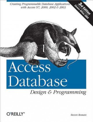 Kniha Access Database Design & Programming 3e Steven Roman