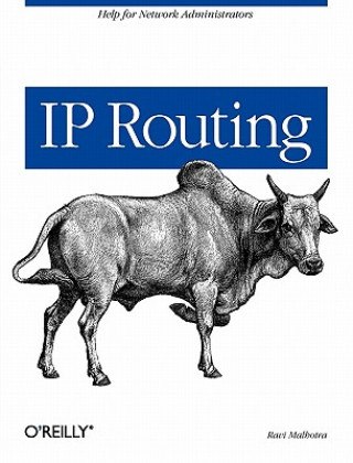 Könyv IP Routing Ravi Malhotra