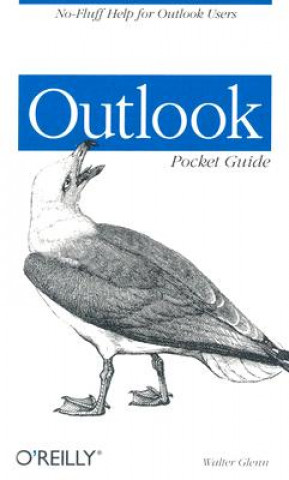 Kniha Outlook Pocket Guide Walter J. Glenn