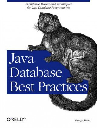 Книга Java Database Best Practices George Reese