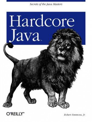 Buch Hardcore Java Robert Simmons