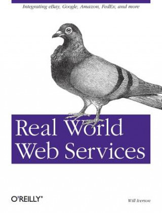 Könyv Real World Web Services Will Iverson