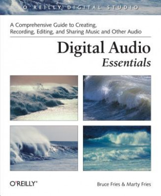 Kniha Digital Audio Essentials Bruce Fries