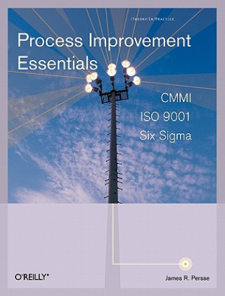 Kniha Process Improvement Essentials James R. Persse