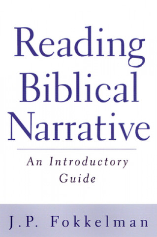 Boek Reading Biblical Narrative J.P. Fokkelman