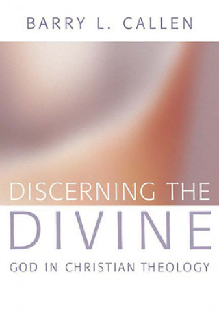 Książka Discerning the Divine Barry L Callen
