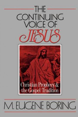 Book Continuing Voice of Jesus M. Eugene Boring