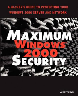 Kniha Maximum Windows 2000 Security Mark Burnett