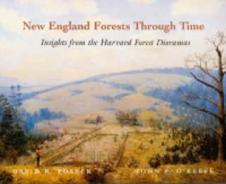 Książka New England Forests Through Time David Foster