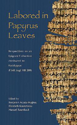 Könyv Labored in Papyrus Leaves Benjamin Acosta-Hughes