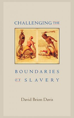 Könyv Challenging the Boundaries of Slavery David Brion Davis