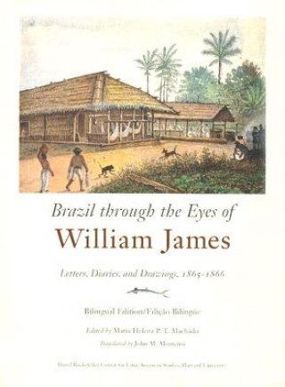 Kniha Brazil through the Eyes of William James Maria Helena P. T. Machado