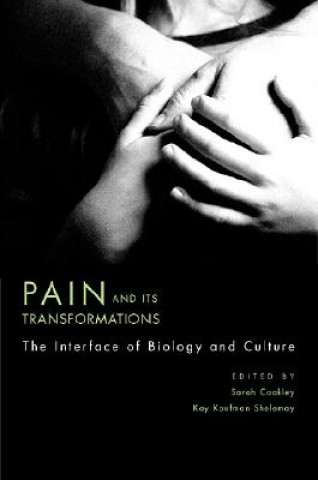 Könyv Pain and Its Transformations Sarah Coakley
