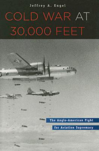 Buch Cold War at 30,000 Feet Jeffrey A. Engel