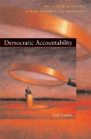 Carte Democratic Accountability Leif Lewin