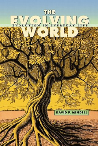 Knjiga Evolving World David P. Mindell