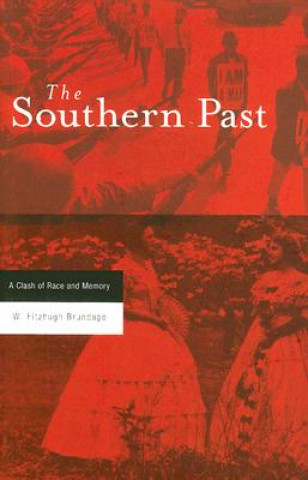 Книга Southern Past W. Fitzhugh Brundage