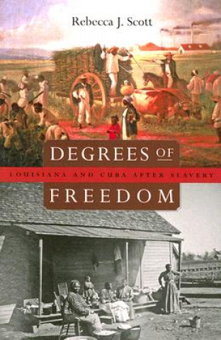 Kniha Degrees of Freedom Rebecca J. Scott