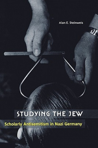 Kniha Studying the Jew Alan E. Steinweis