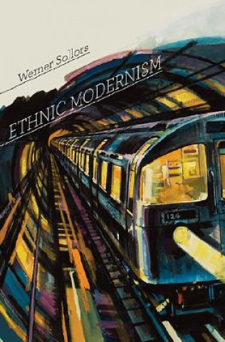 Kniha Ethnic Modernism Werner Sollors