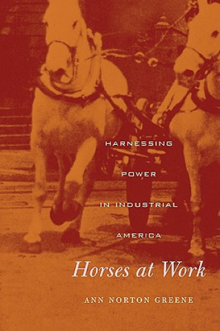 Book Horses at Work Ann Norton Greene