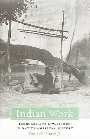 Kniha Indian Work Daniel H. Usner