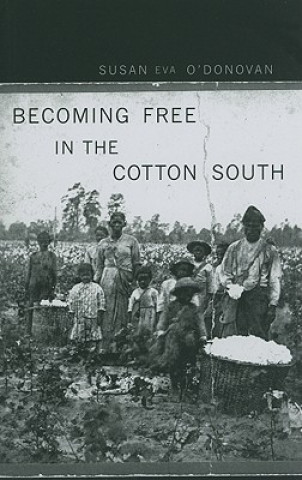 Kniha Becoming Free in the Cotton South Susan Eva O'Donovan