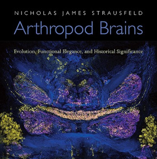 Carte Arthropod Brains Nicholas James Strausfeld