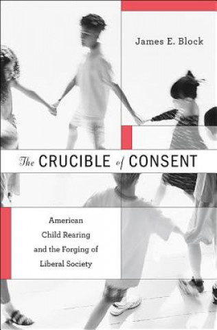 Książka Crucible of Consent James E. Block