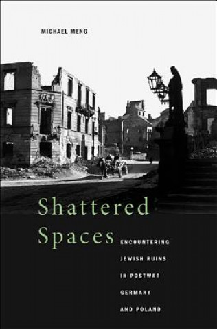 Buch Shattered Spaces Michael Meng