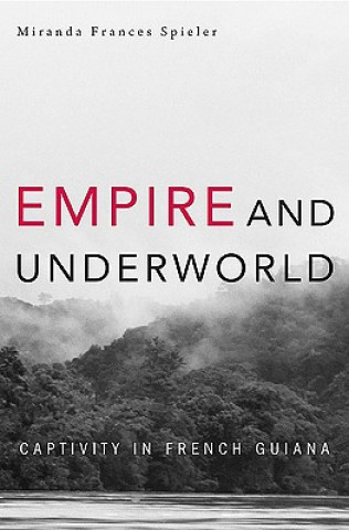 Könyv Empire and Underworld Miranda Frances Spieler