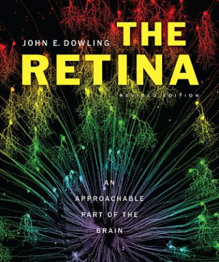 Książka Retina John E. Dowling