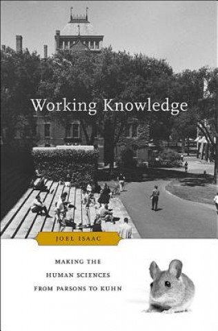 Knjiga Working Knowledge Joel Isaac