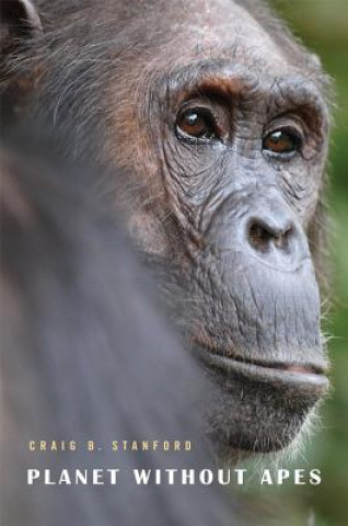 Knjiga Planet Without Apes Craig B. Stanford