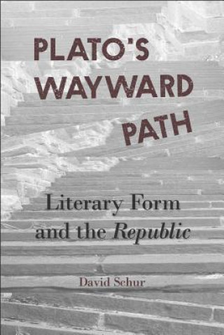 Könyv Plato's Wayward Path David Schur