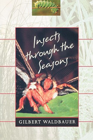 Buch Insects through the Seasons Gilbert Waldbauer