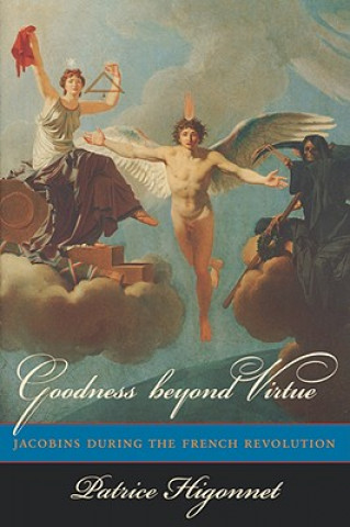 Buch Goodness beyond Virtue Patrice Higonnet