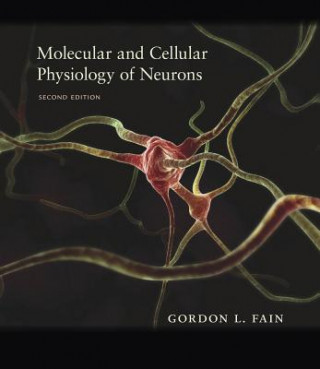 Carte Molecular and Cellular Physiology of Neurons, Second Edition Gordon L. Fain