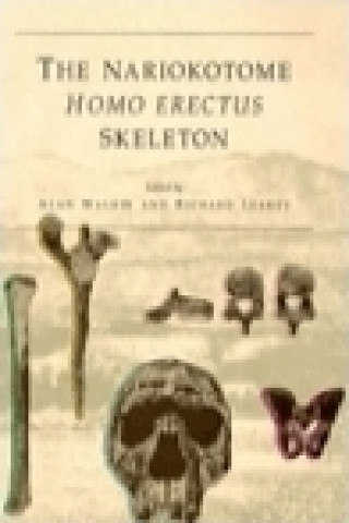 Könyv Nariokotome Homo erectus Skeleton Alan Walker