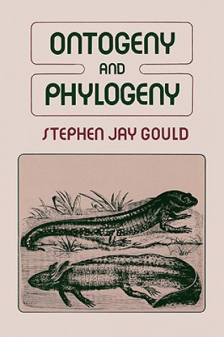 Książka Ontogeny and Phylogeny Stephen Jay Gould