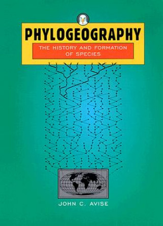 Kniha Phylogeography J. C. Avise