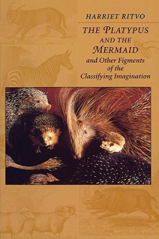 Könyv Platypus and the Mermaid Harriet Ritvo