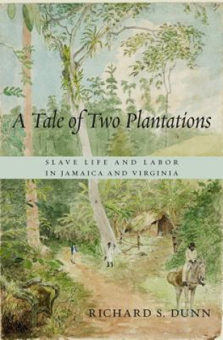 Kniha Tale of Two Plantations Richard S. Dunn