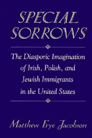 Book Special Sorrows Matthew Frye Jacobson