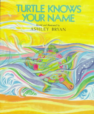 Book Turtle Knows Your Name Ashley Bryan