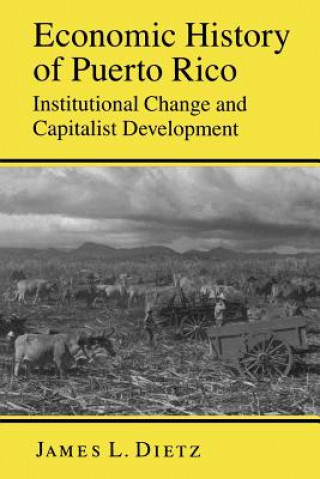 Könyv Economic History of Puerto Rico James L. Dietz